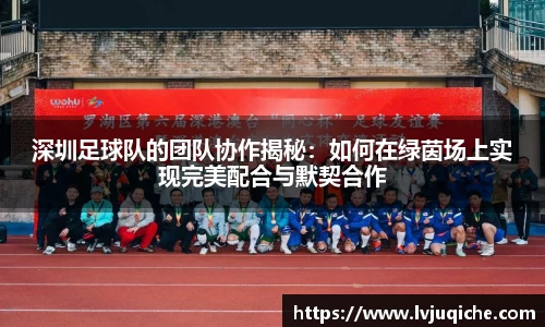 深圳足球队的团队协作揭秘：如何在绿茵场上实现完美配合与默契合作